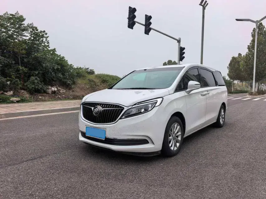 2018 BUICK GL8 view 1