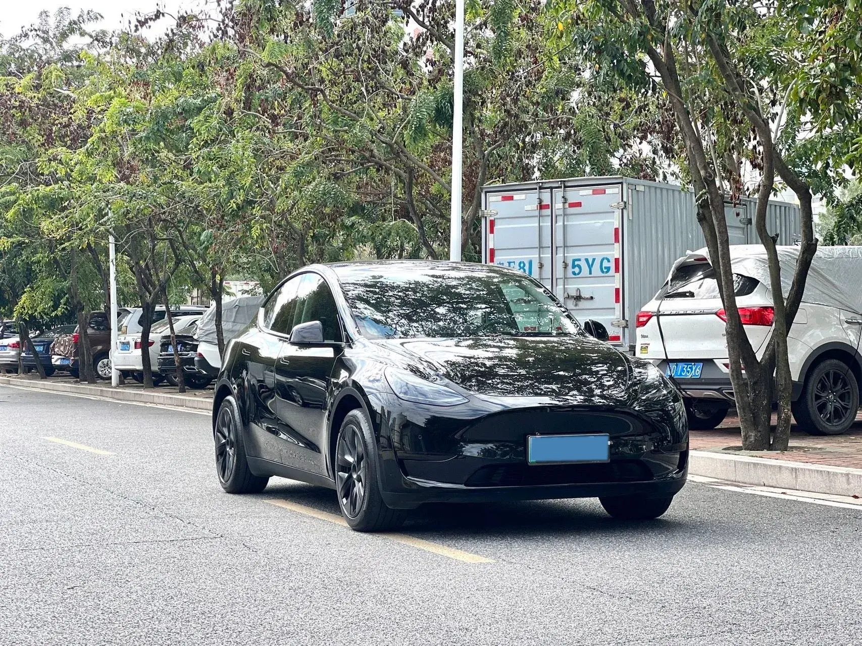 2023 TESLA MODEL thumbnail 3