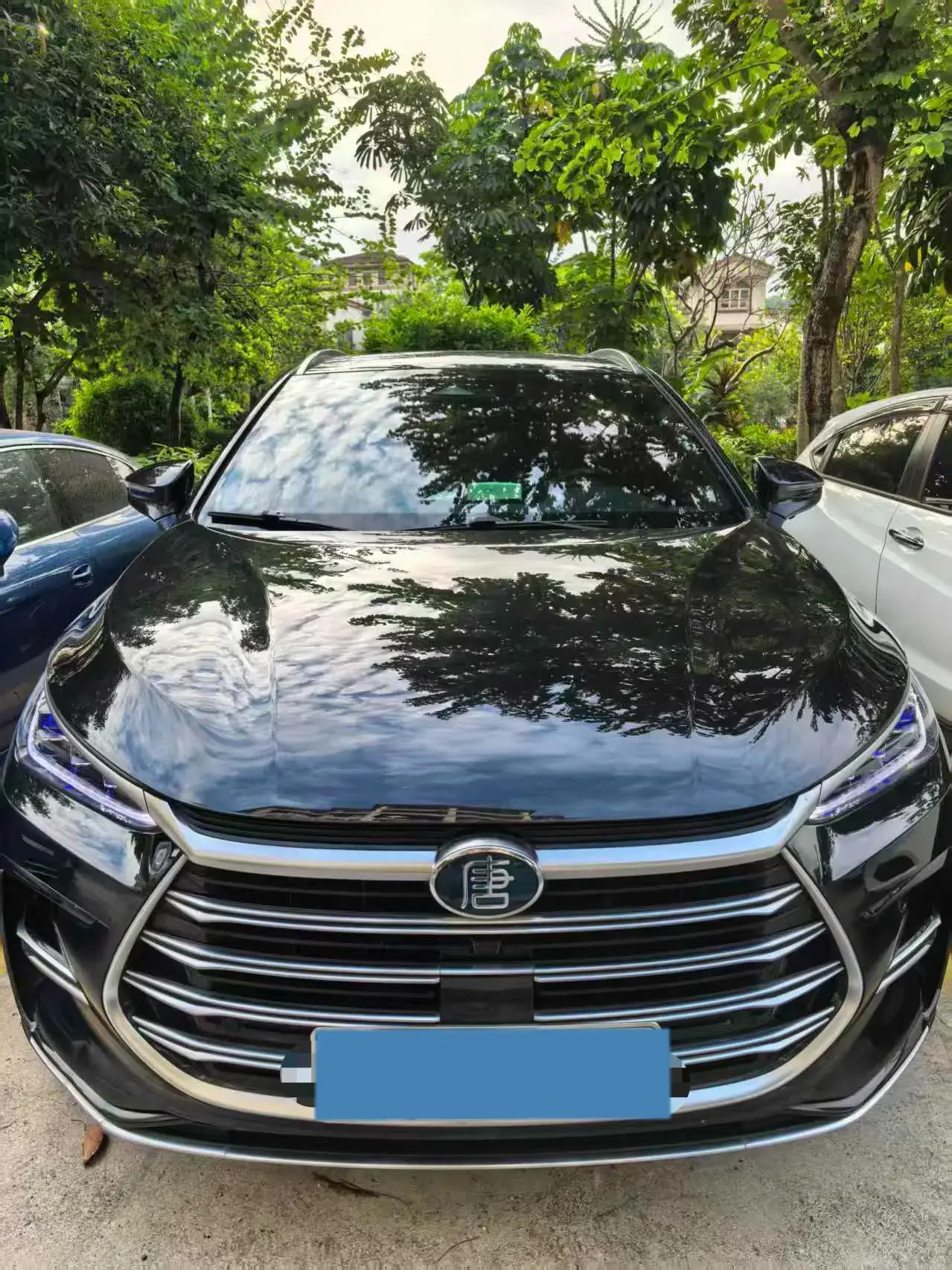 2023 BYD TANG thumbnail 2