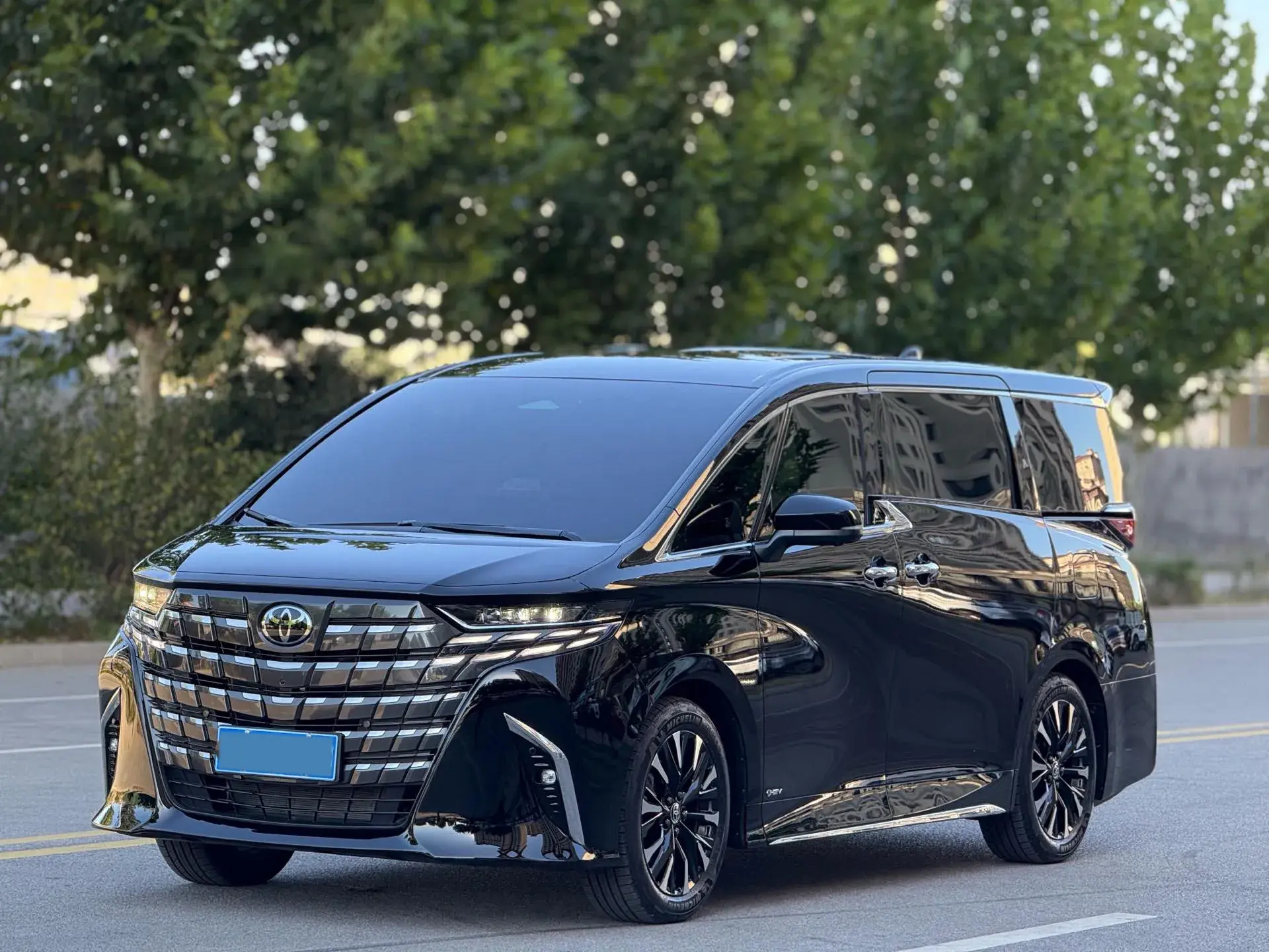 2024 TOYOTA ALPHARD view 1