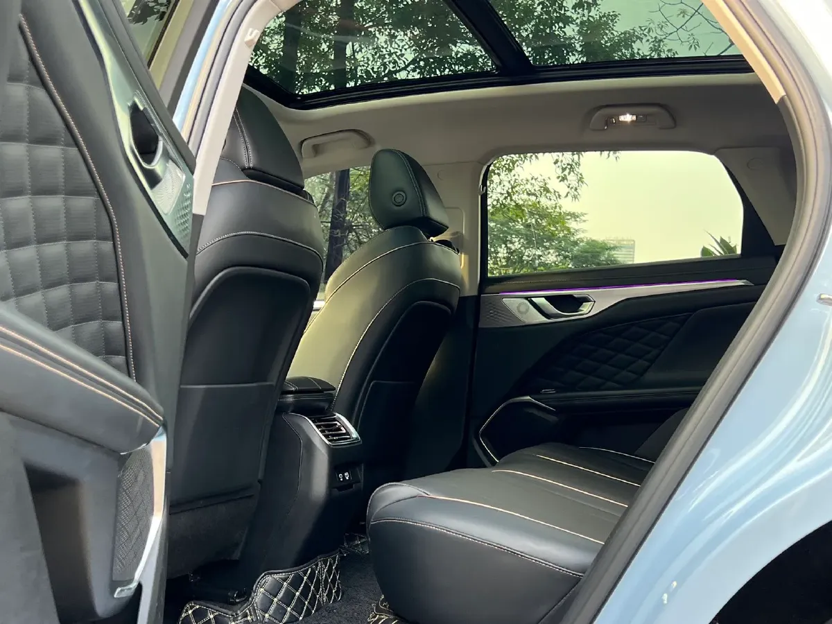 2021 WEY Mocha 2.0T 214HP L4 9DCT,autocango,china used car exporter,china ev exporter,chinese used car exporter,chinese used ev exporter