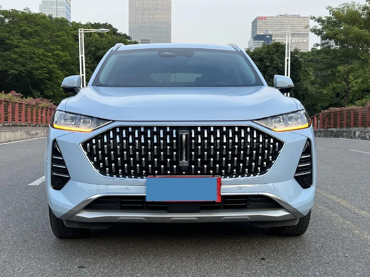 2021 WEY Mocha 2.0T 214HP L4 9DCT,autocango,china used car exporter,china ev exporter,chinese used car exporter,chinese used ev exporter