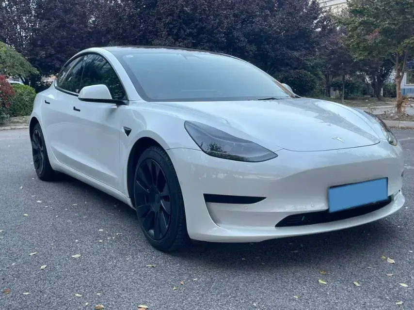 2021 TESLA MODEL thumbnail 3