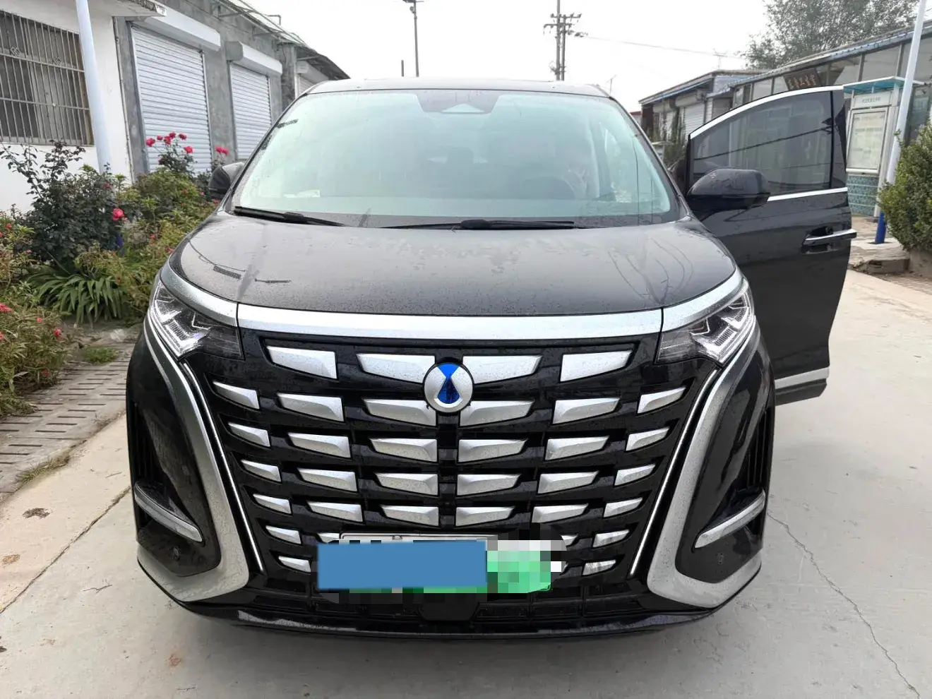 2024 DENZA D9 thumbnail 2