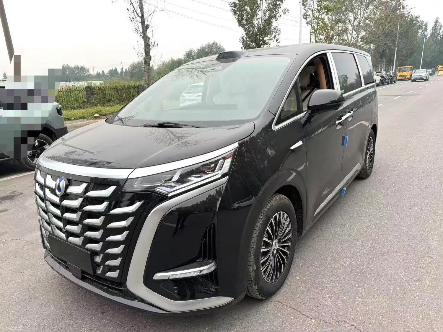 2025 DENZA D9 view 1