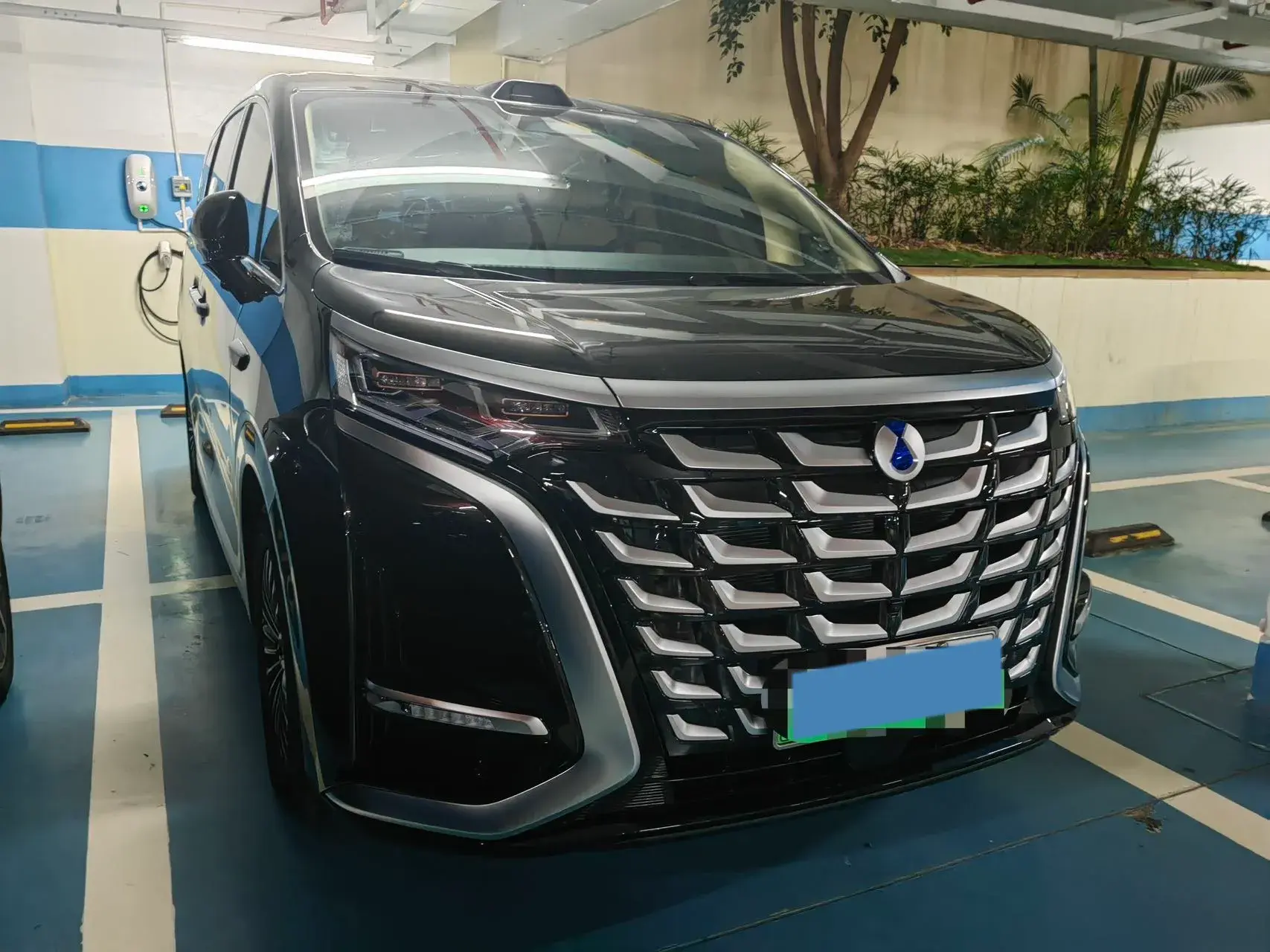 2025 DENZA D9 thumbnail 4