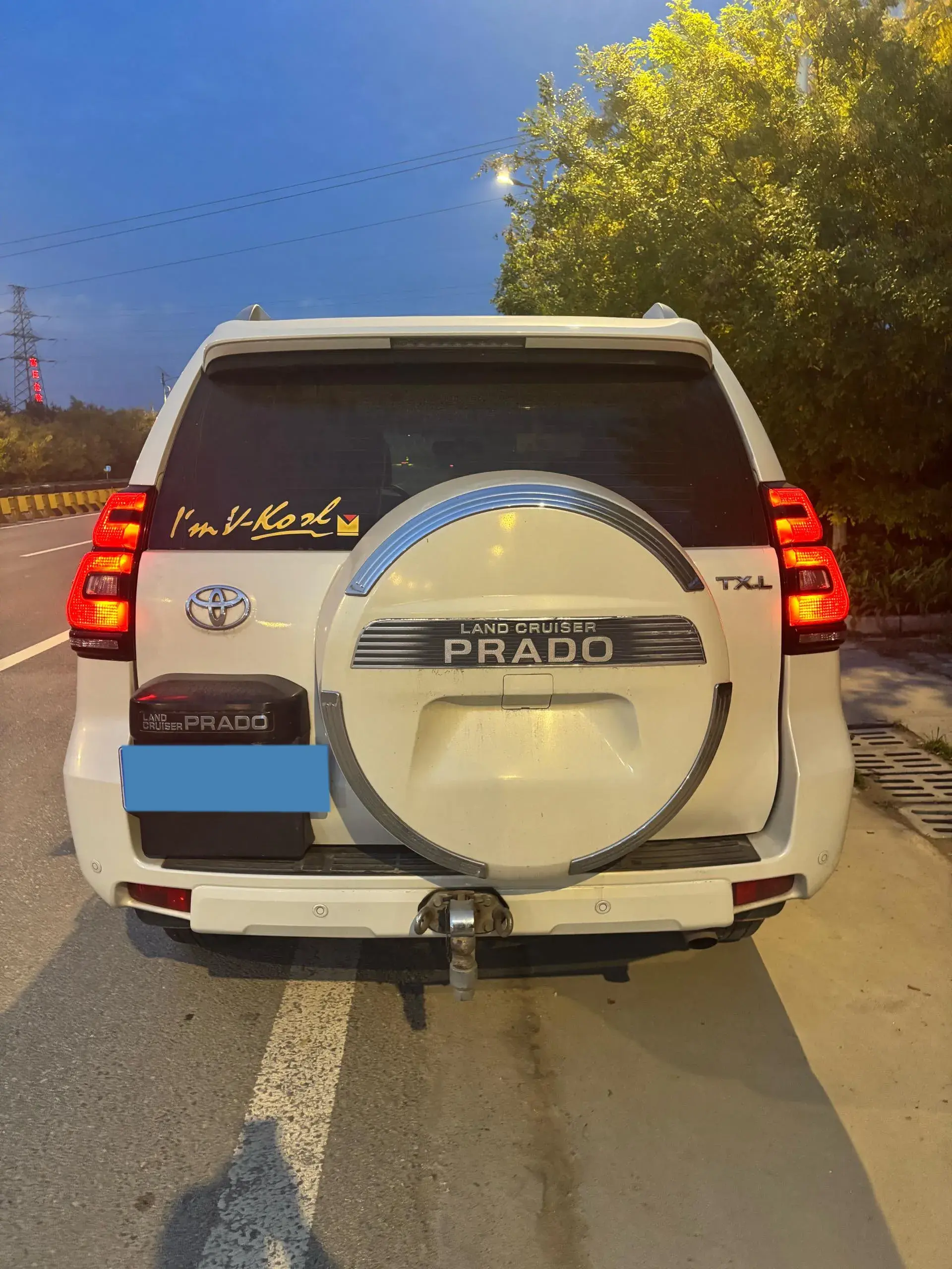 2019 TOYOTA LAND thumbnail 4