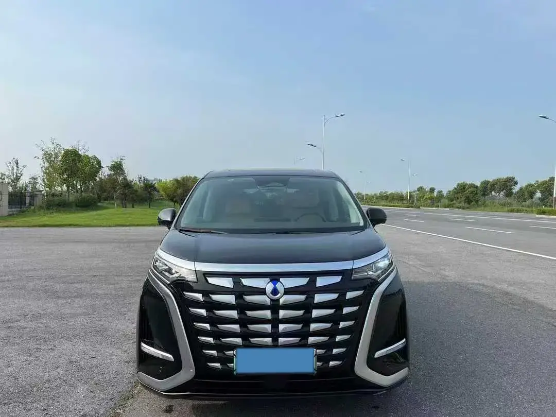 2024 DENZA D9 thumbnail 2