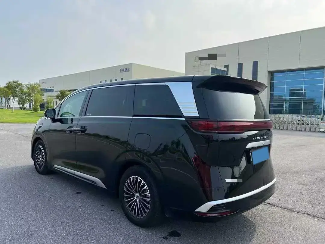 2024 DENZA D9 thumbnail 4