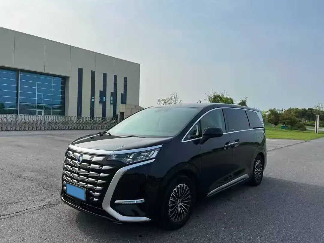 2024 DENZA D9 view 1