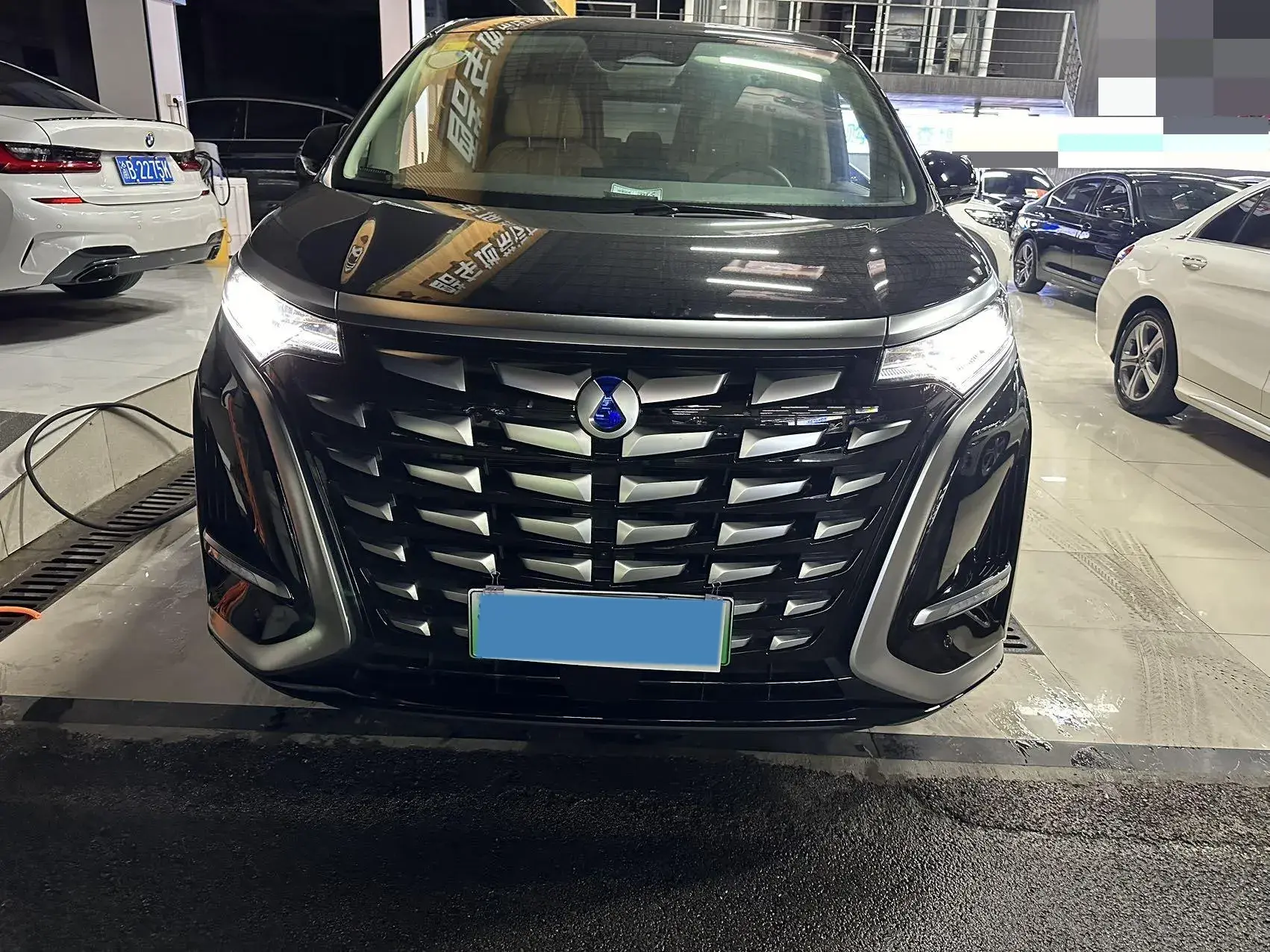 2024 DENZA D9 thumbnail 2