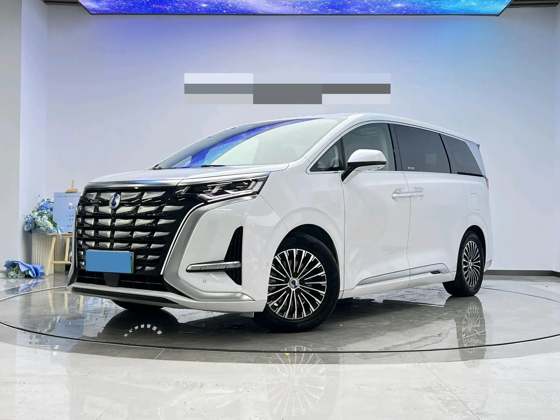 2022 DENZA D9 view 1