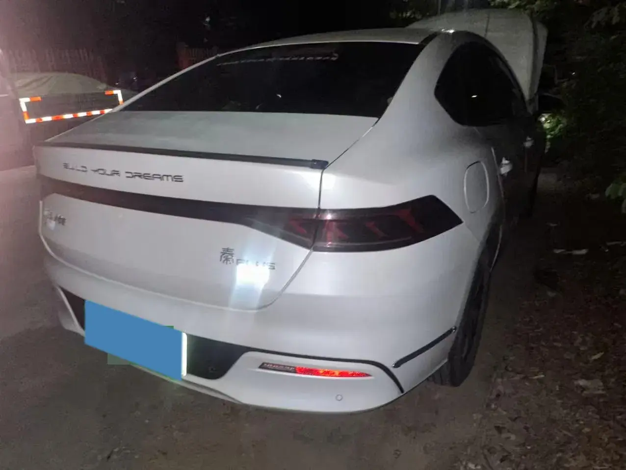 2021 BYD QIN thumbnail 2