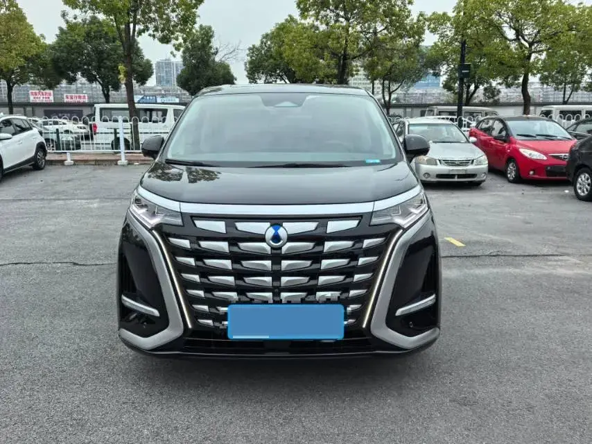 2022 DENZA D9 thumbnail 2