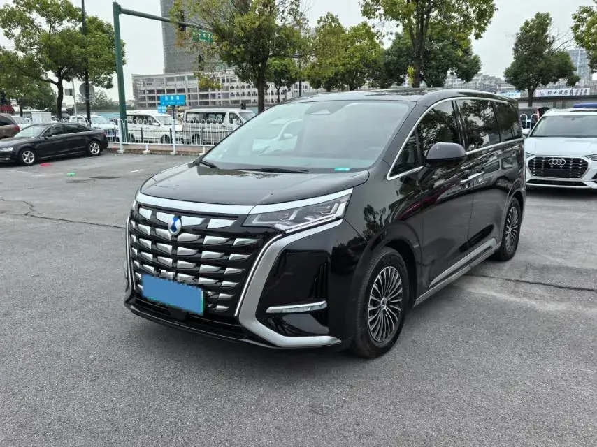 2022 DENZA D9 view 1