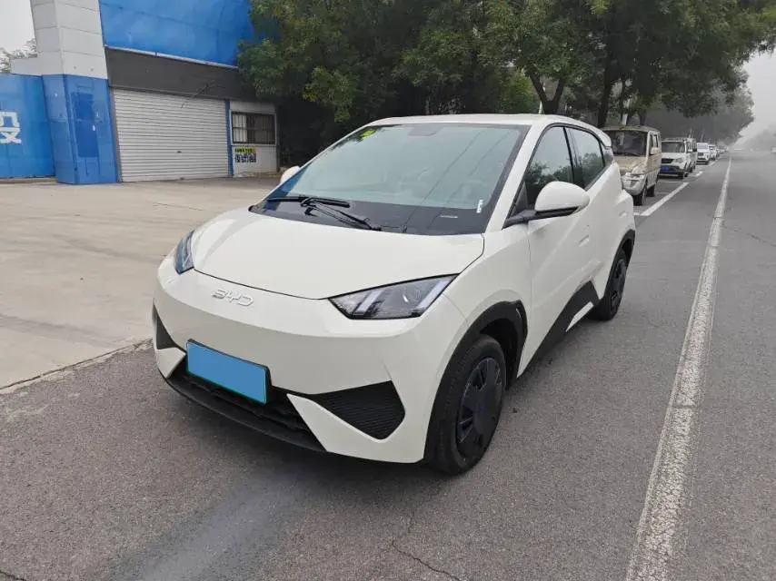 2025 BYD SEAGULL view 1