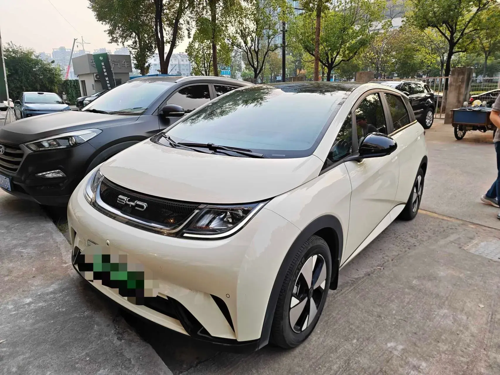 2023 BYD DOLPHIN view 1