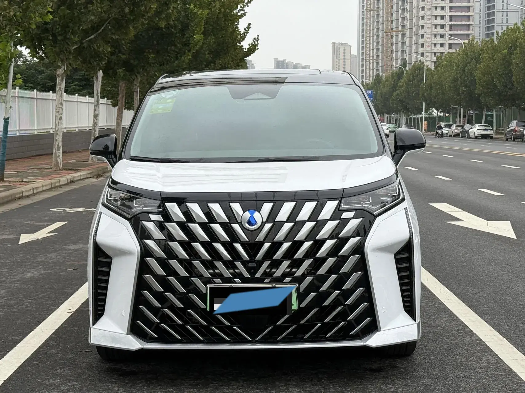 2022 DENZA D9 thumbnail 2