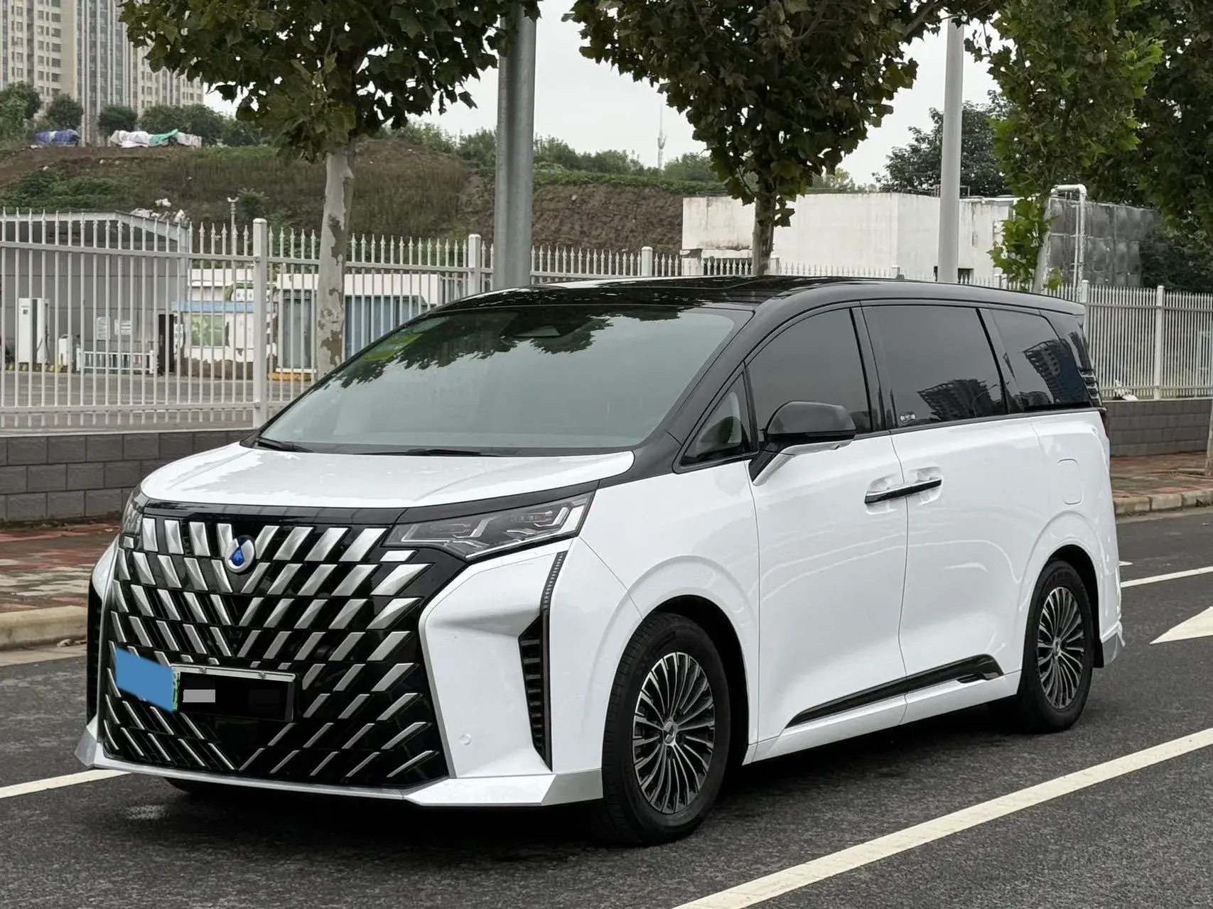 2022 DENZA D9 view 1