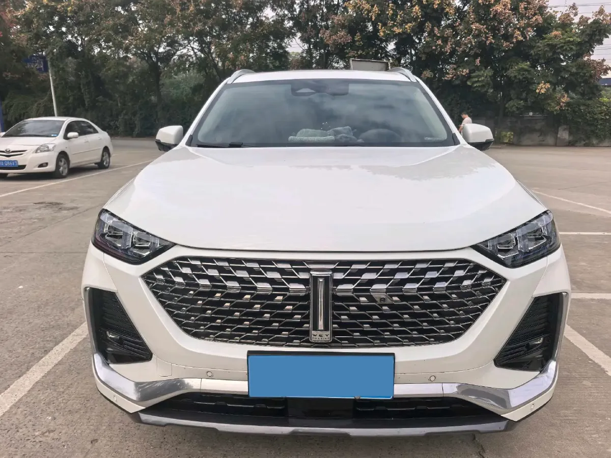 2022 WEY Latte DHT 1.5T 156HP L4 2DHT Hybrid,autocango,china used car exporter,china ev exporter,chinese used car exporter,chinese used ev exporter