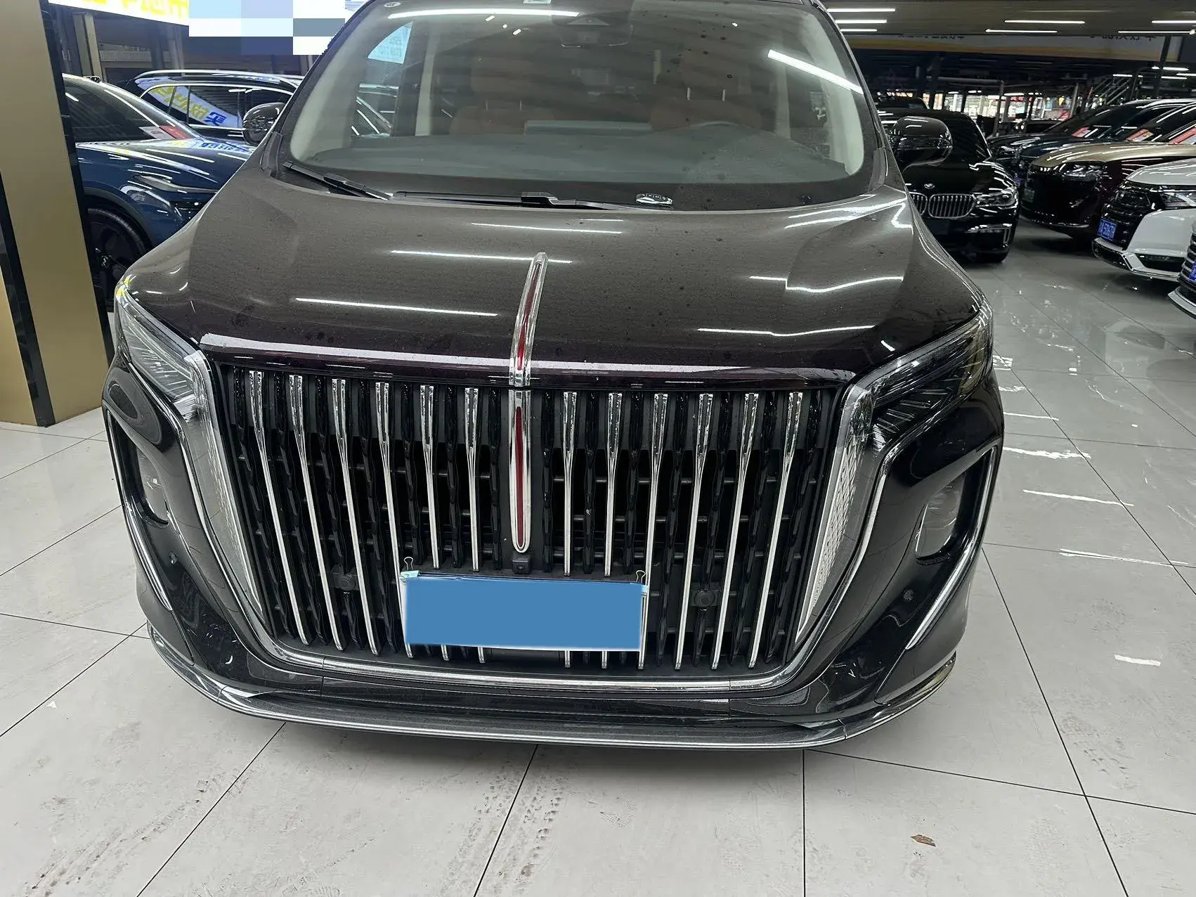 2023 HONGQI HQ9 thumbnail 2