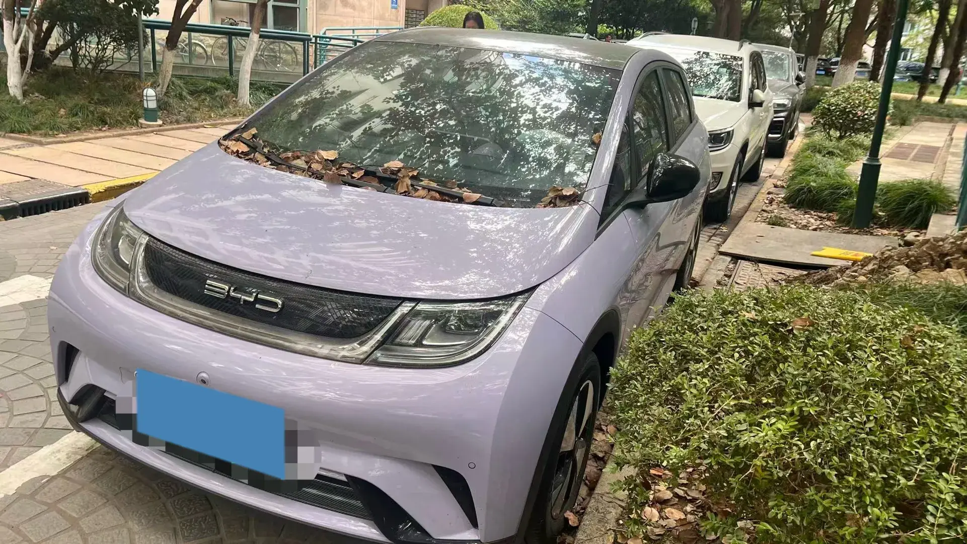 2023 BYD DOLPHIN view 1