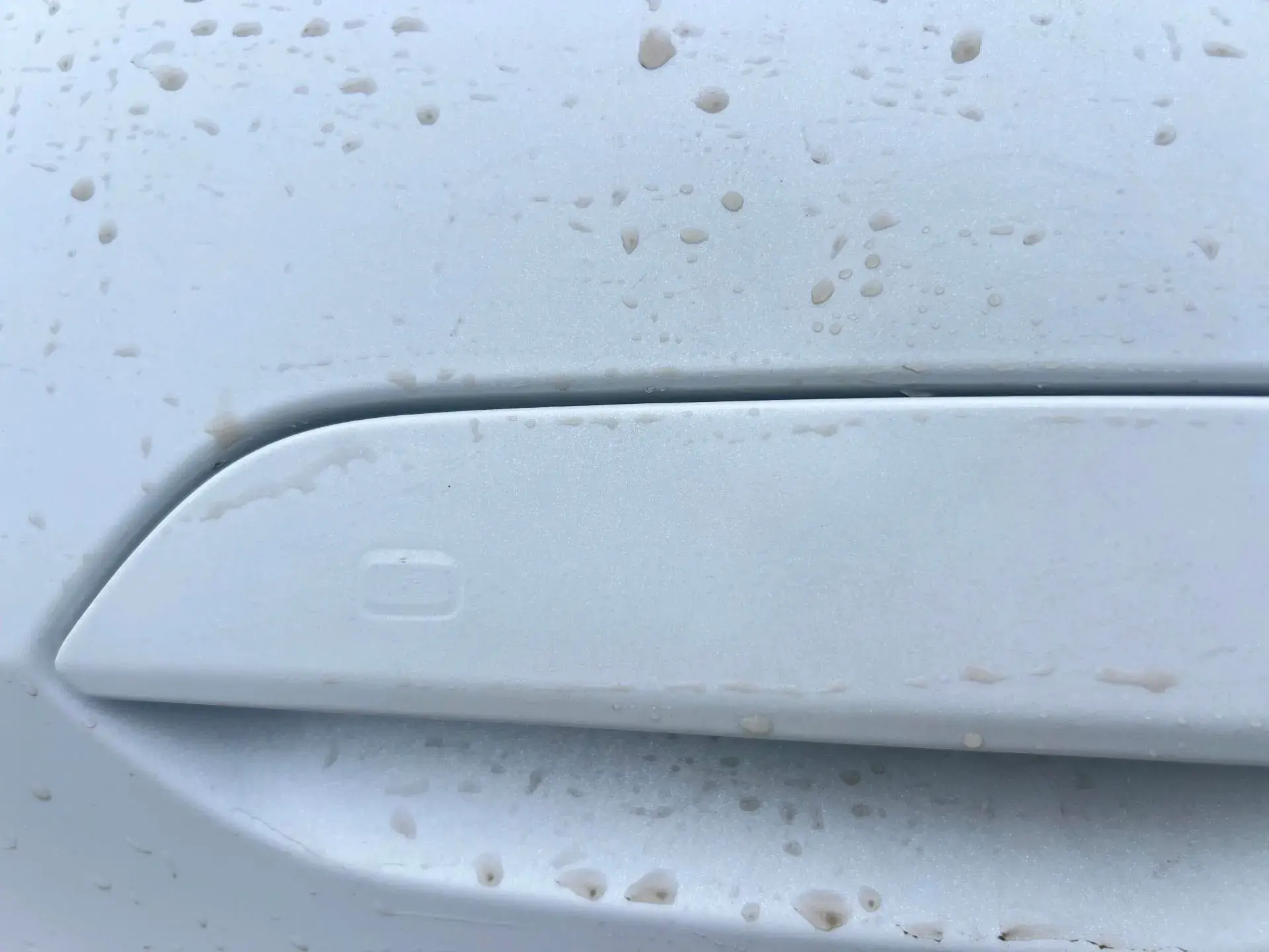 2021 BYD DOLPHIN thumbnail 4