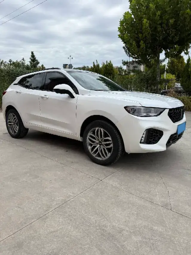 2017 WEY VV5 thumbnail 2