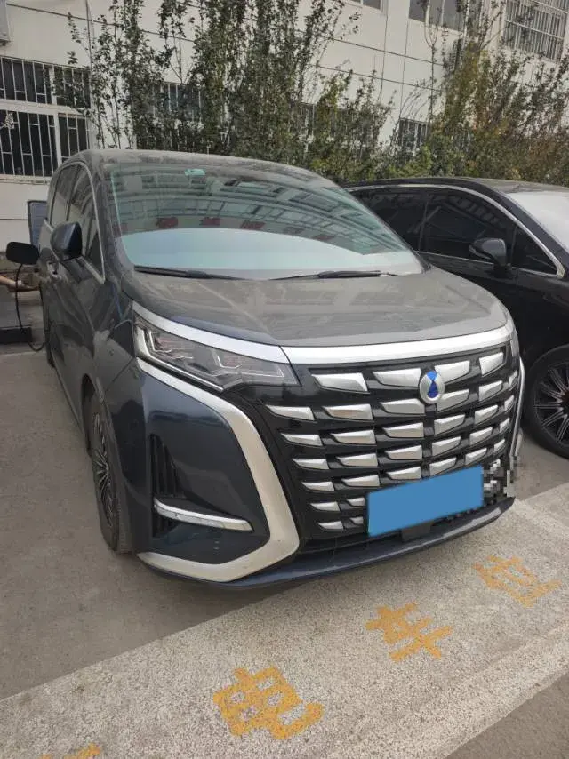 2022 DENZA D9 thumbnail 2