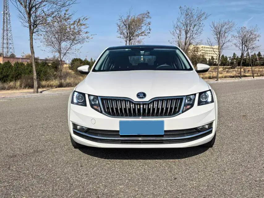 2019 SKODA OCTAVIA thumbnail 2
