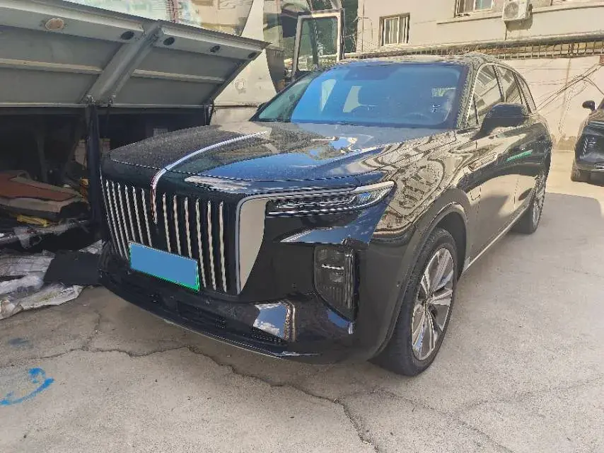 2021 HONGQI E-HS9 view 1