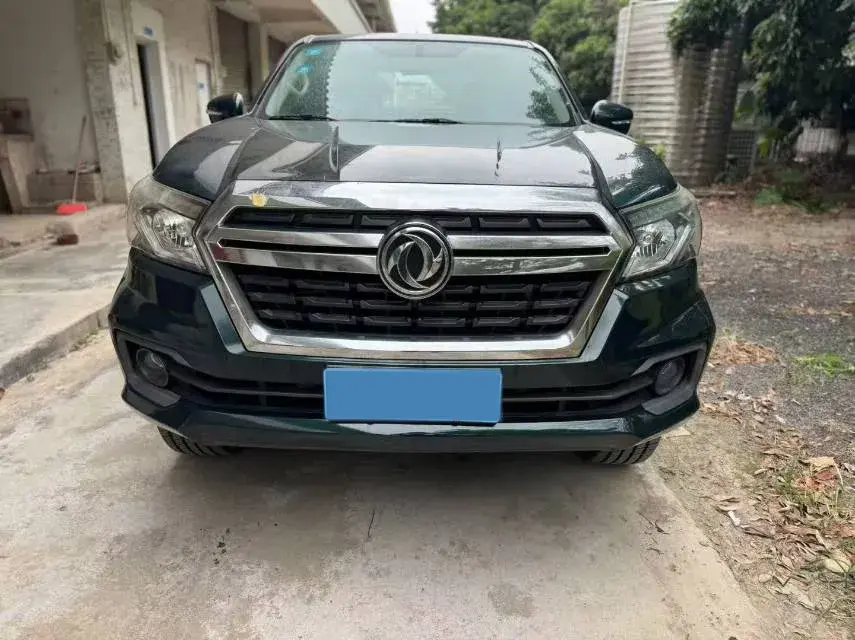 2019 DONGFENG RUIQI thumbnail 2