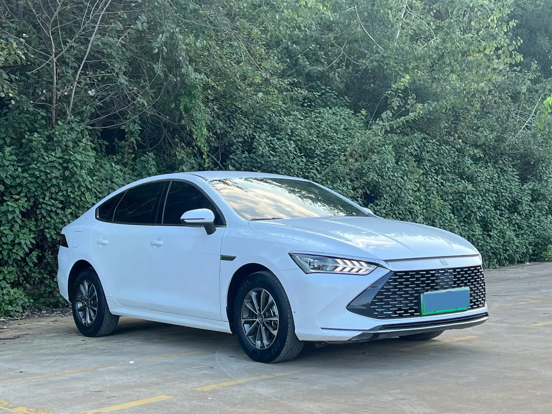 2023 BYD QIN thumbnail 3