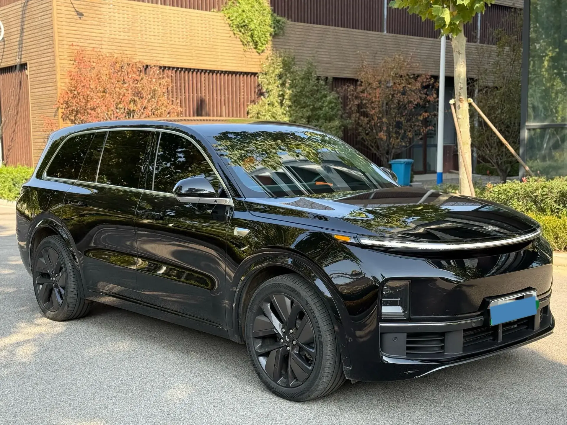 2023 LI L9 thumbnail 3