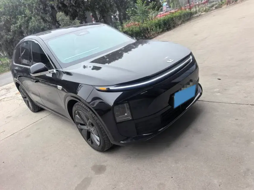 2024 LI L6 thumbnail 2