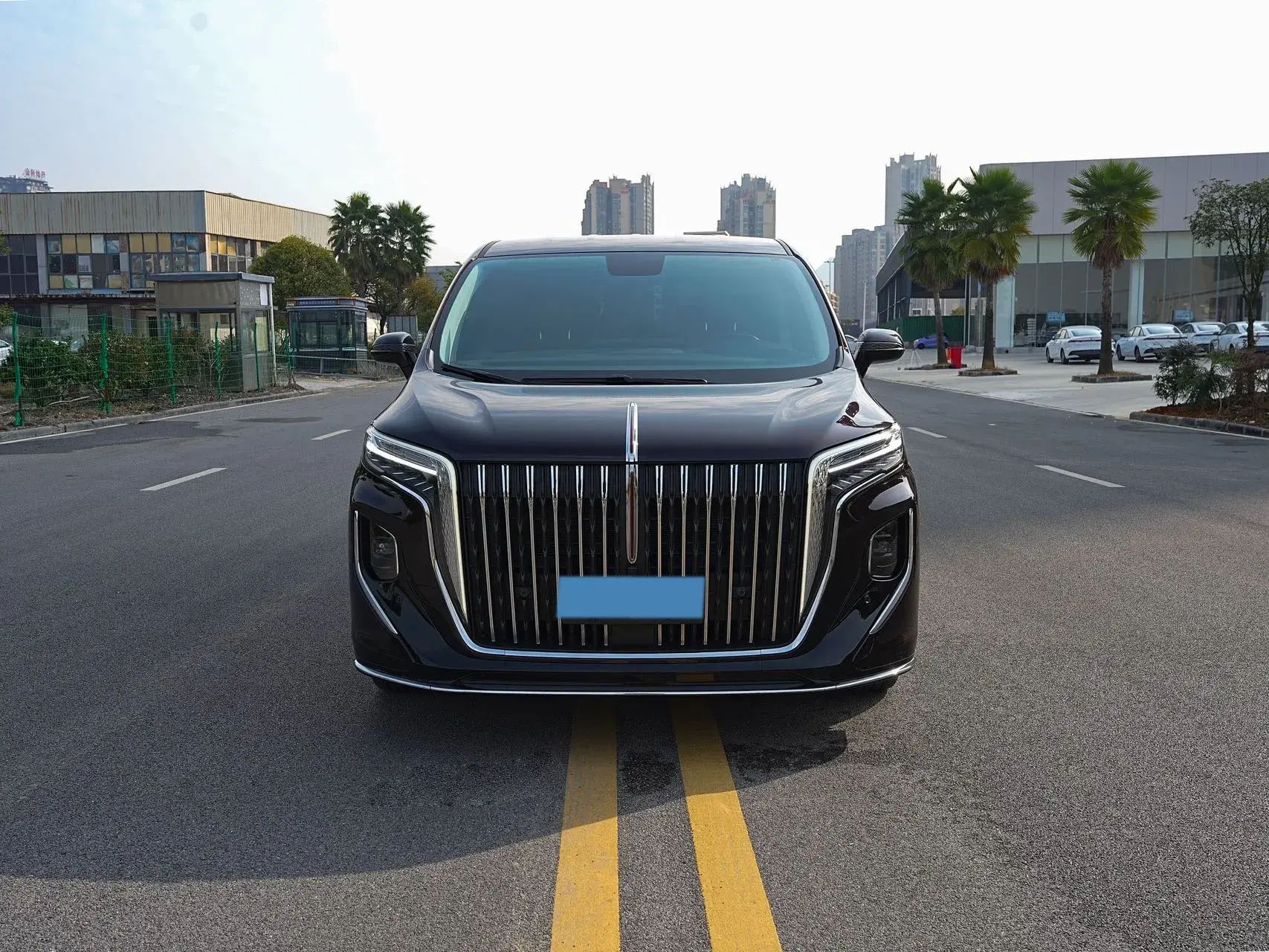 2024 HONGQI HQ9 thumbnail 2