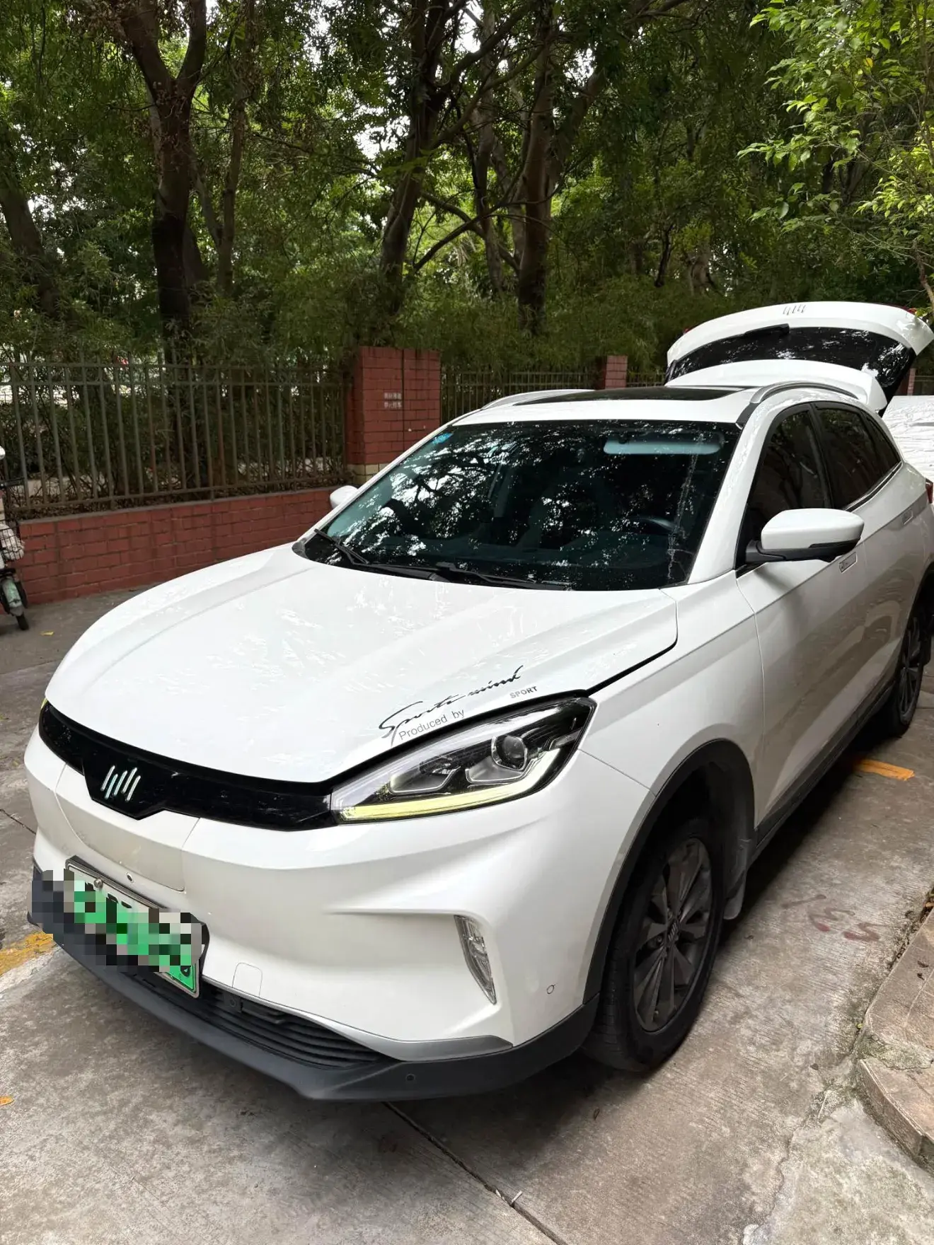 2018 WELTMEISTER EX5 view 1