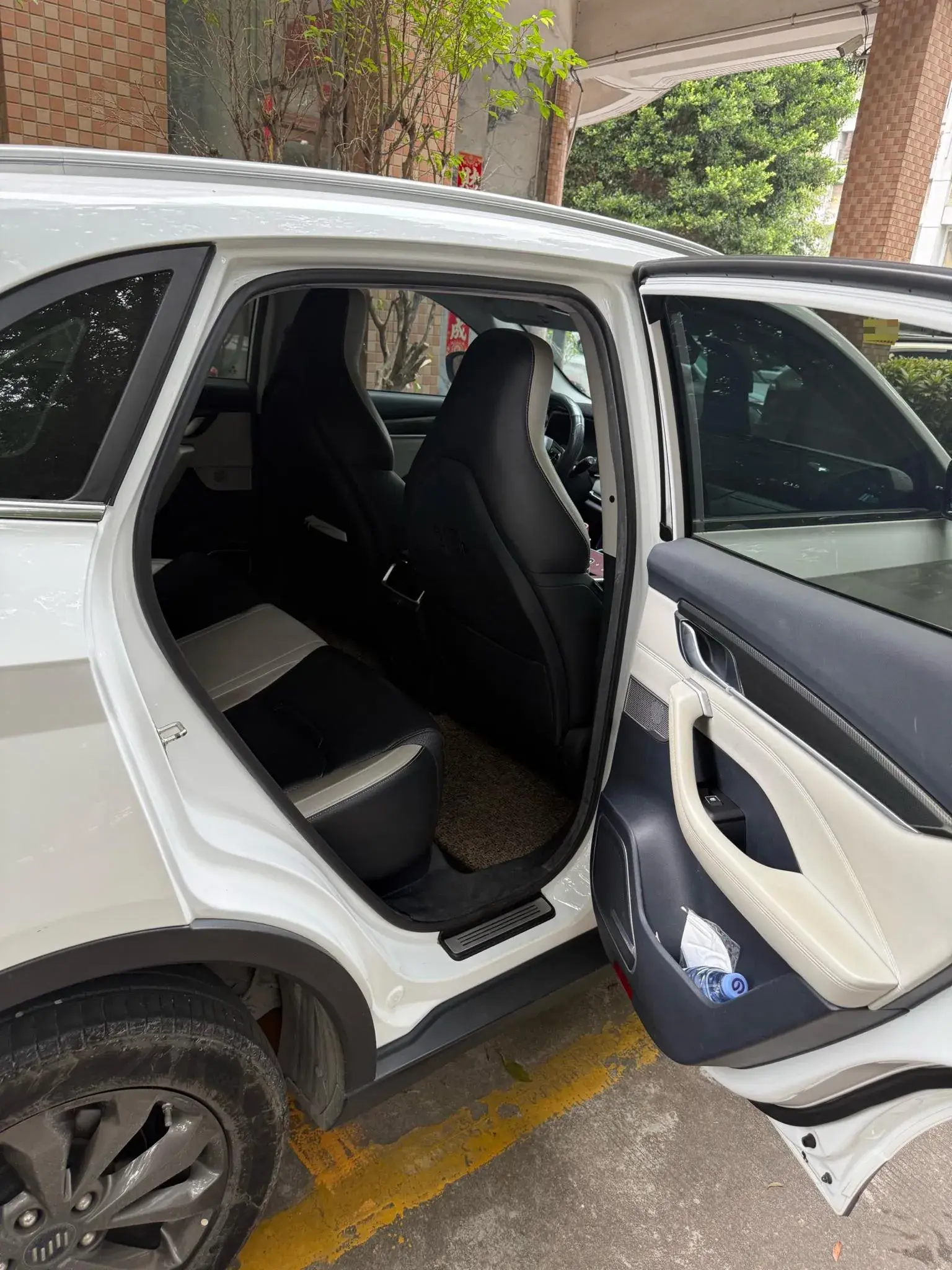 2018 WELTMEISTER EX5 thumbnail 3