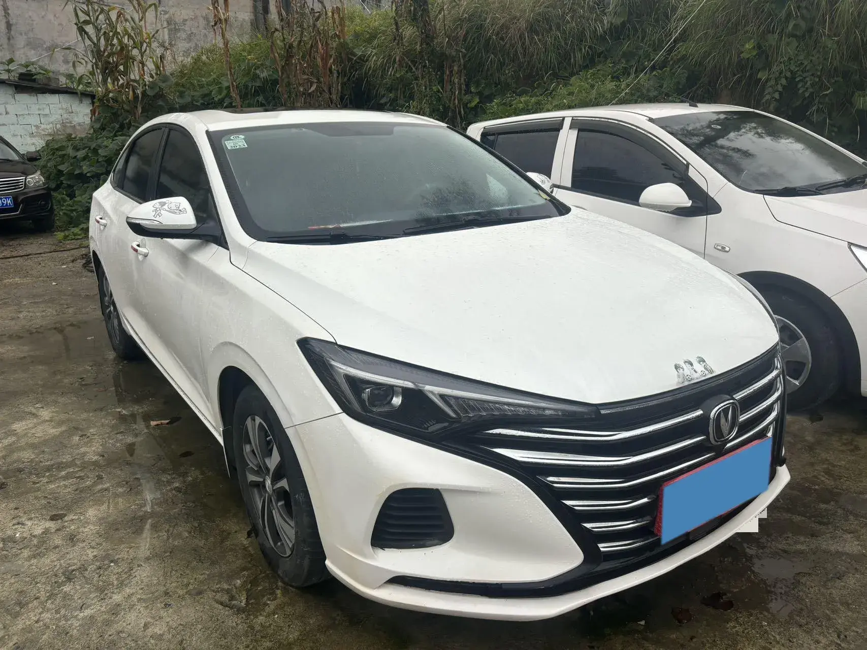 2021 CHANGAN EADO thumbnail 3