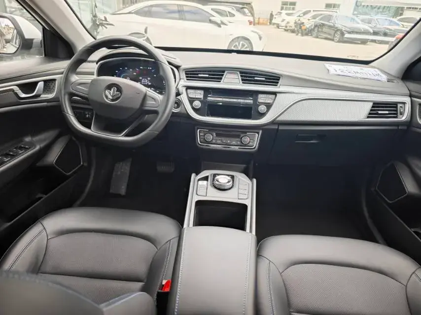 2022 LIVAN MAPLE thumbnail 4