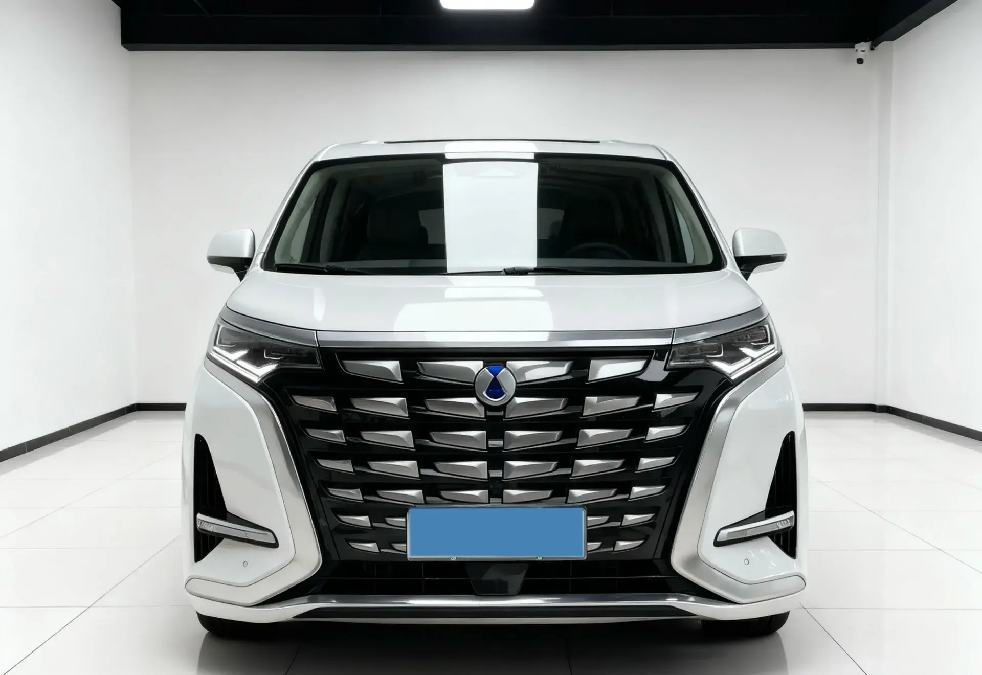 2022 DENZA D9 thumbnail 2