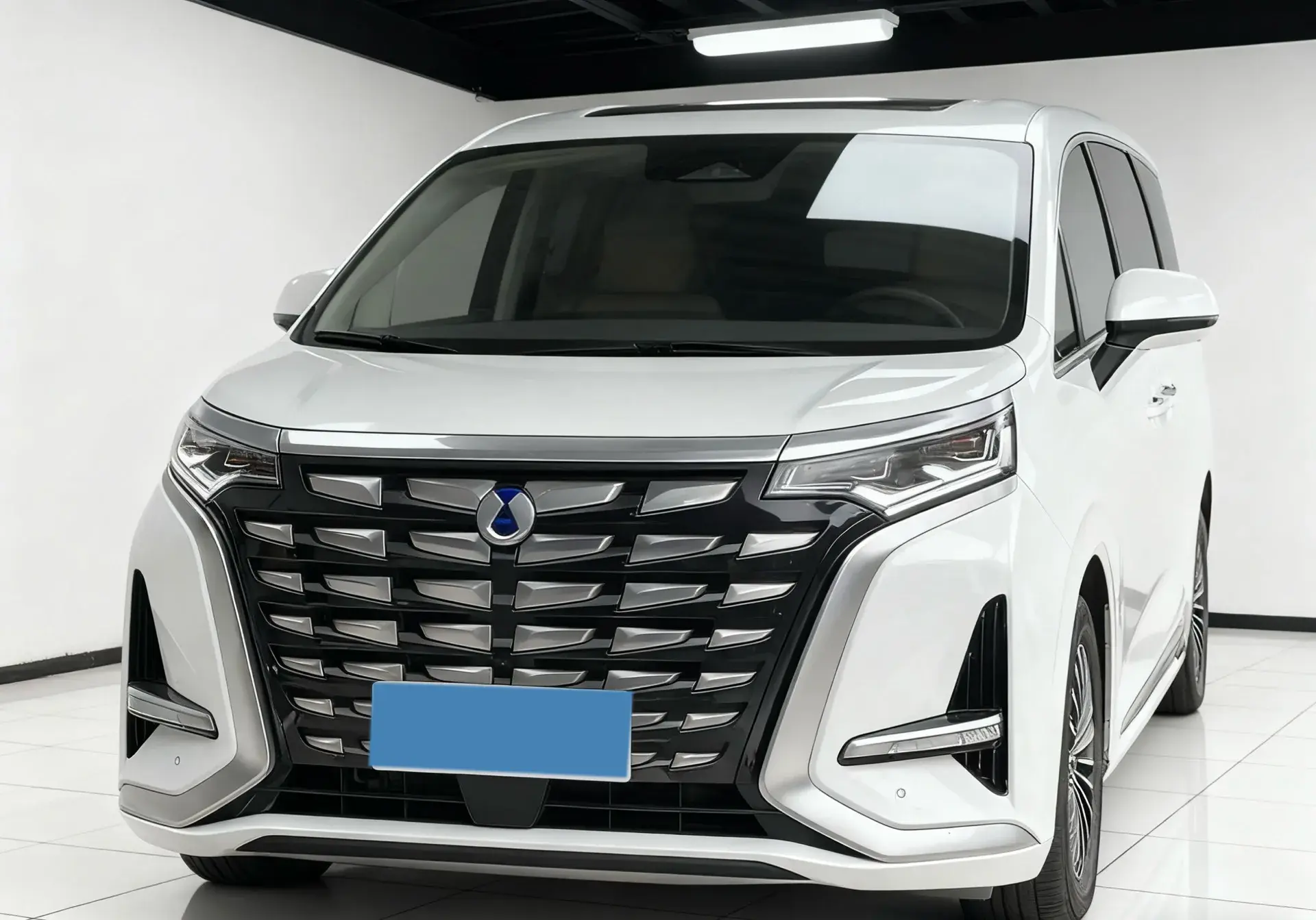 2022 DENZA D9 view 1