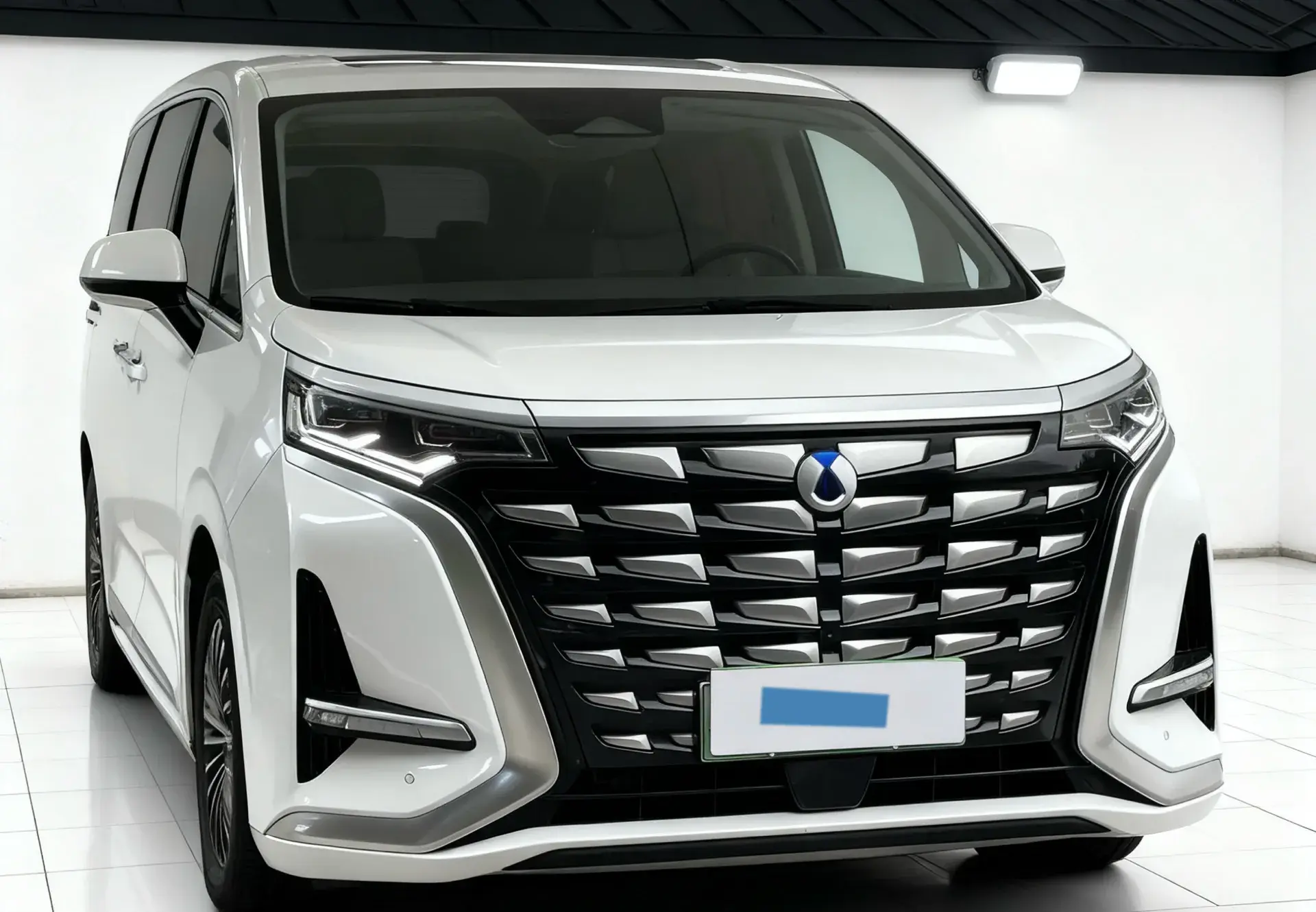 2022 DENZA D9 thumbnail 3