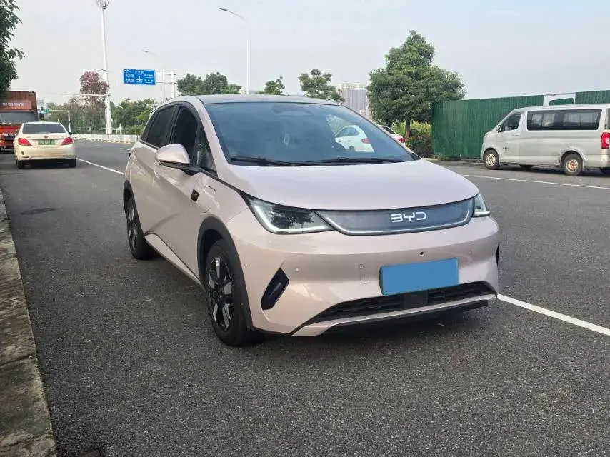 2025 BYD DOLPHIN thumbnail 3