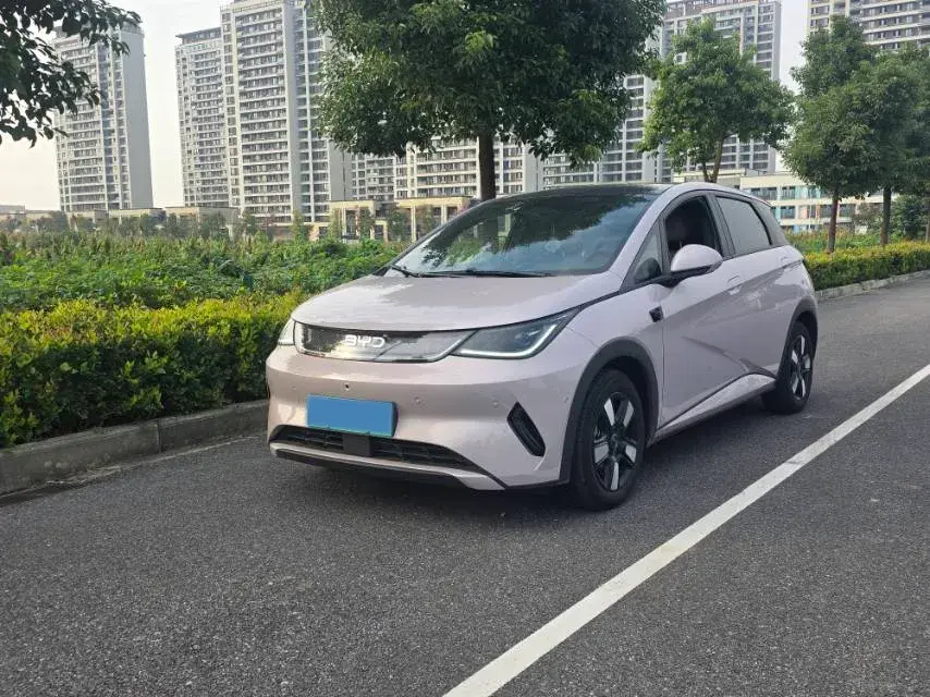 2025 BYD DOLPHIN view 1