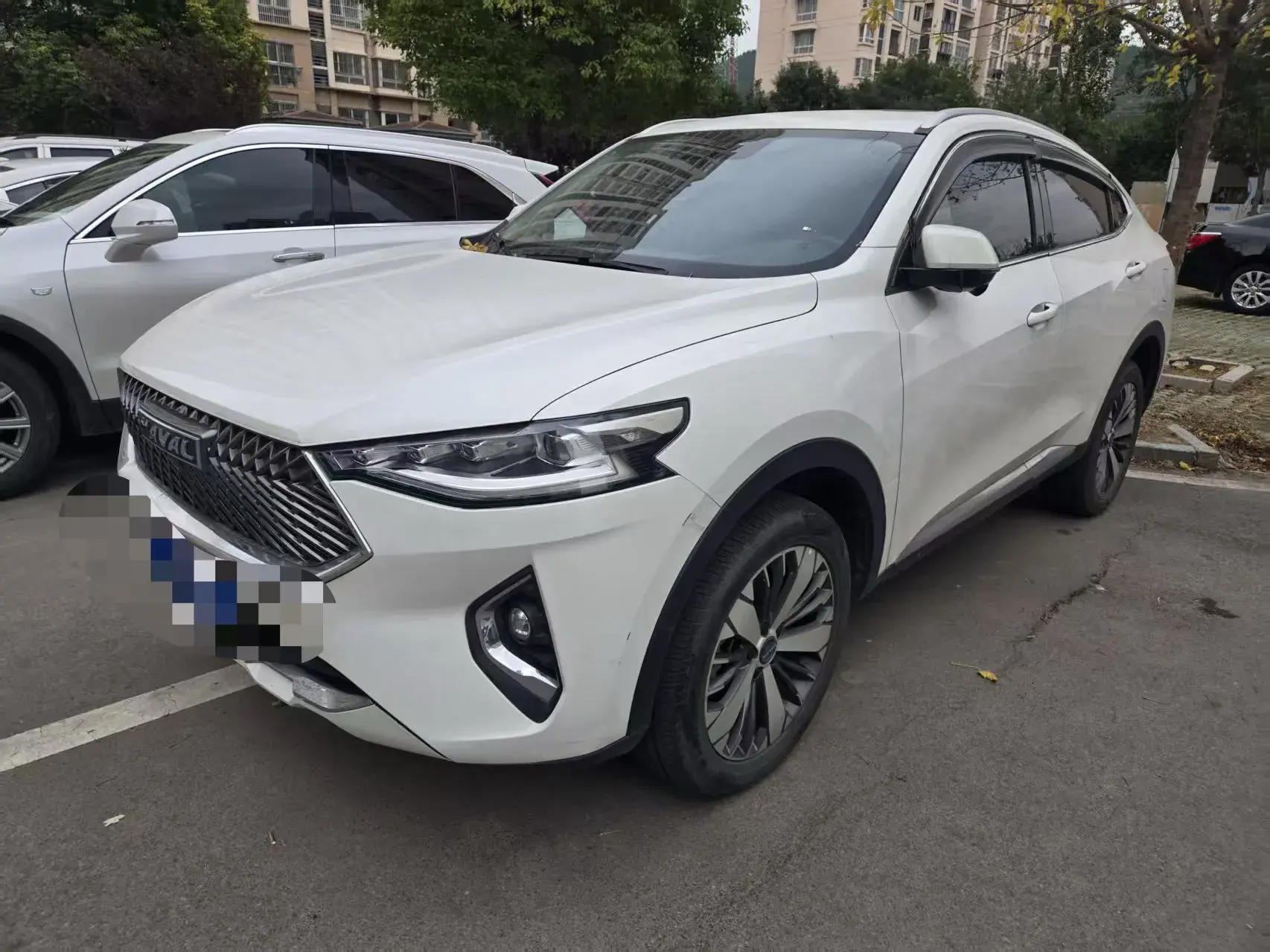 2021 HAVAL F7X view 1