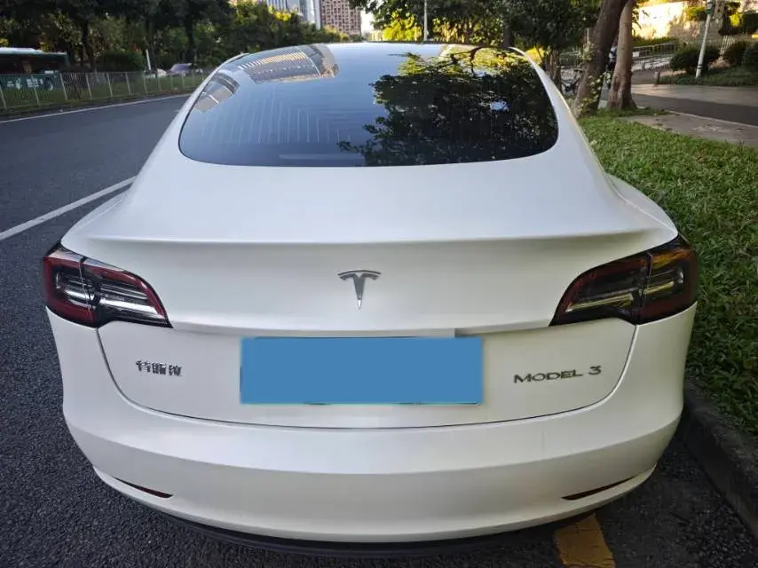 2020 TESLA MODEL thumbnail 3