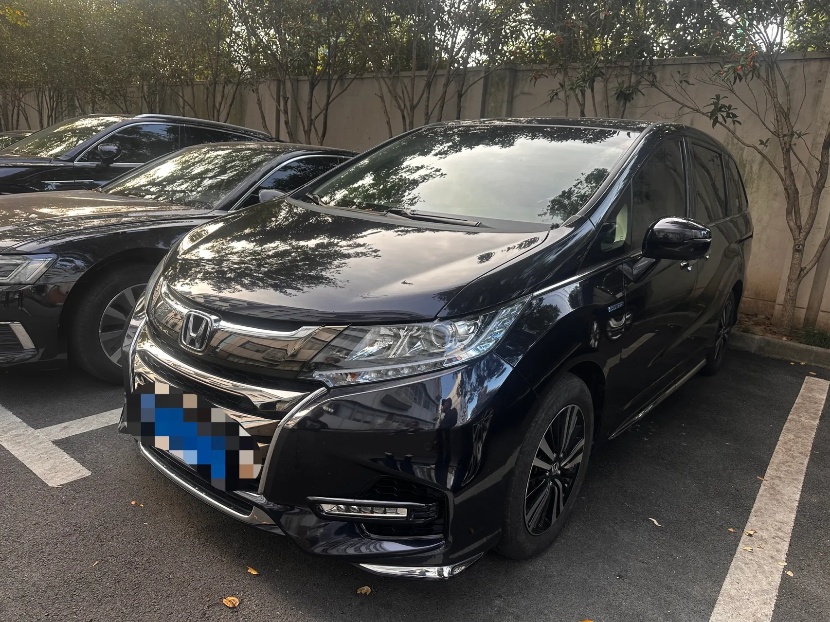 autocango,china used car exporter,china ev exporter,chinese used car exporter,chinese used ev exporter autocango,china used car exporter,china ev exporter,chinese used car exporter,chinese used ev exporter