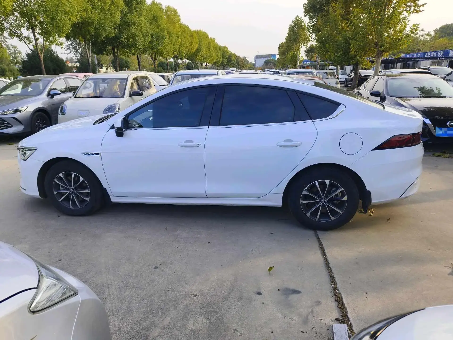 2024 BYD QIN thumbnail 4