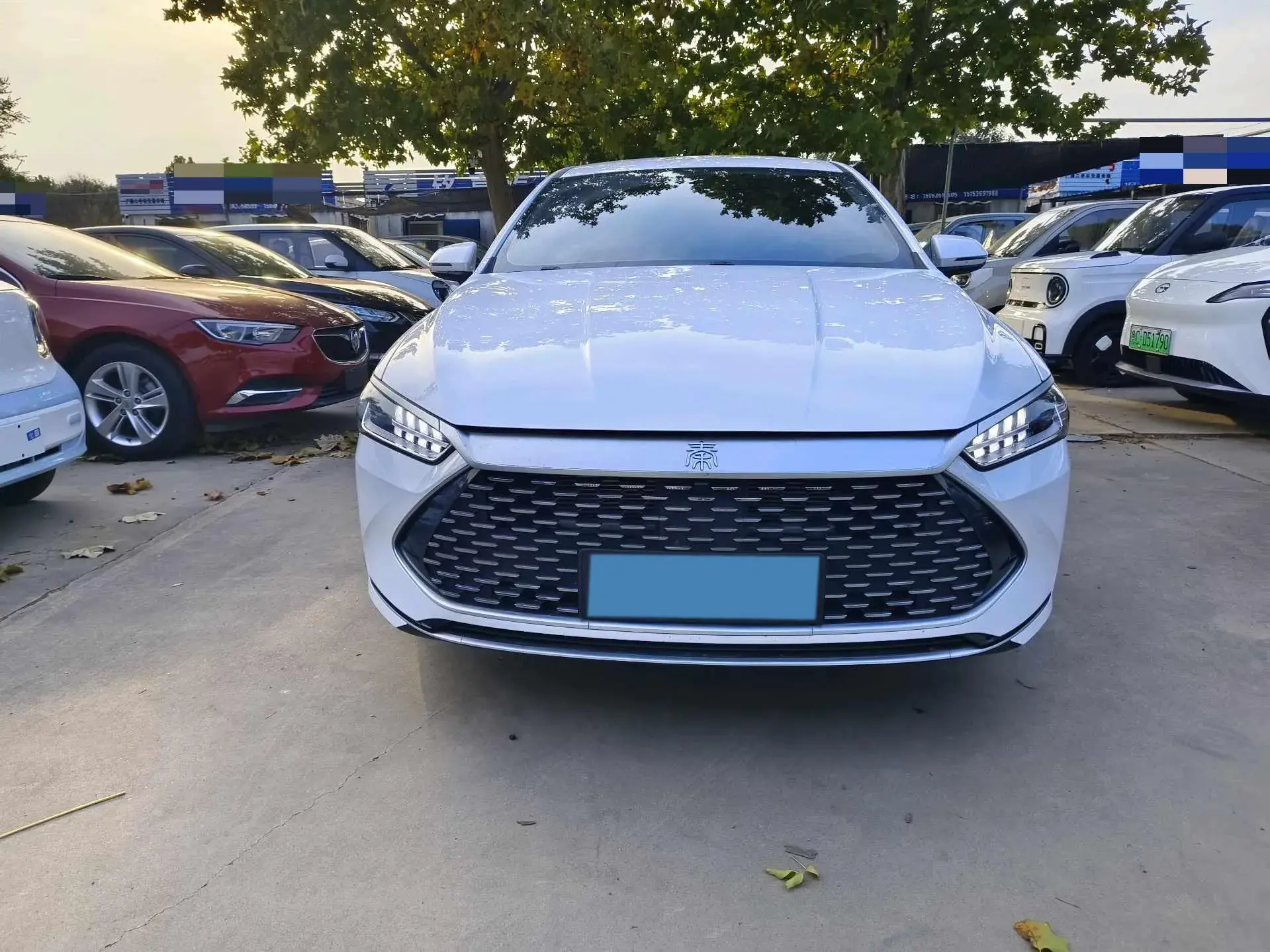 2024 BYD QIN thumbnail 2